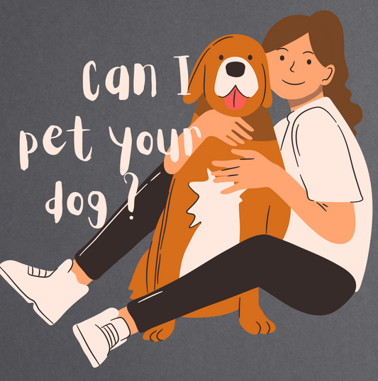 Can I pet your dog? Unisex Classic Crew T-Shirt
